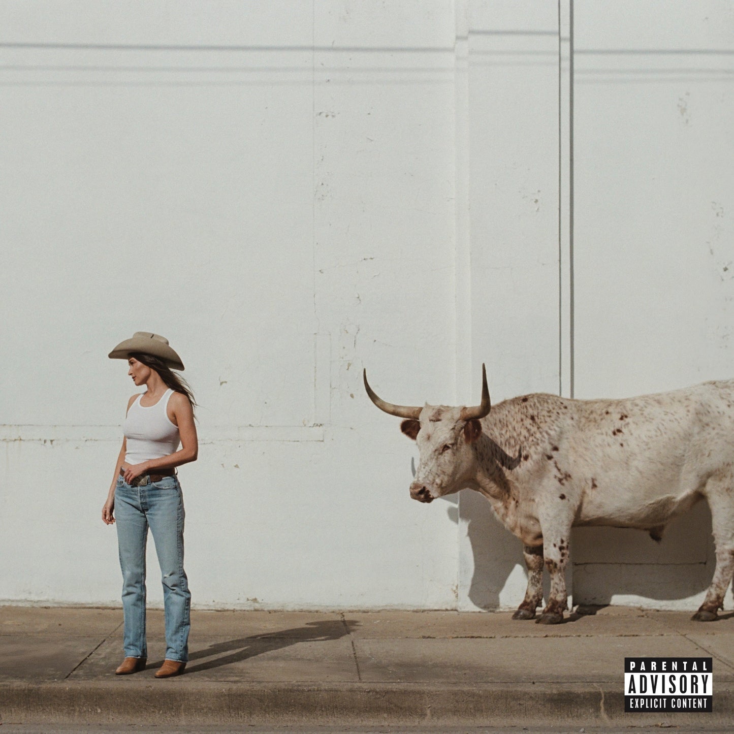 Kacey Musgraves Middle Of Nowhere