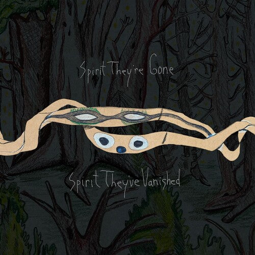 Animal Collective Spirit They're Gone, Spirit They've Vanished (Indie Exclusive, Colored Vinyl, Green, Remastered, Digital Download Card)