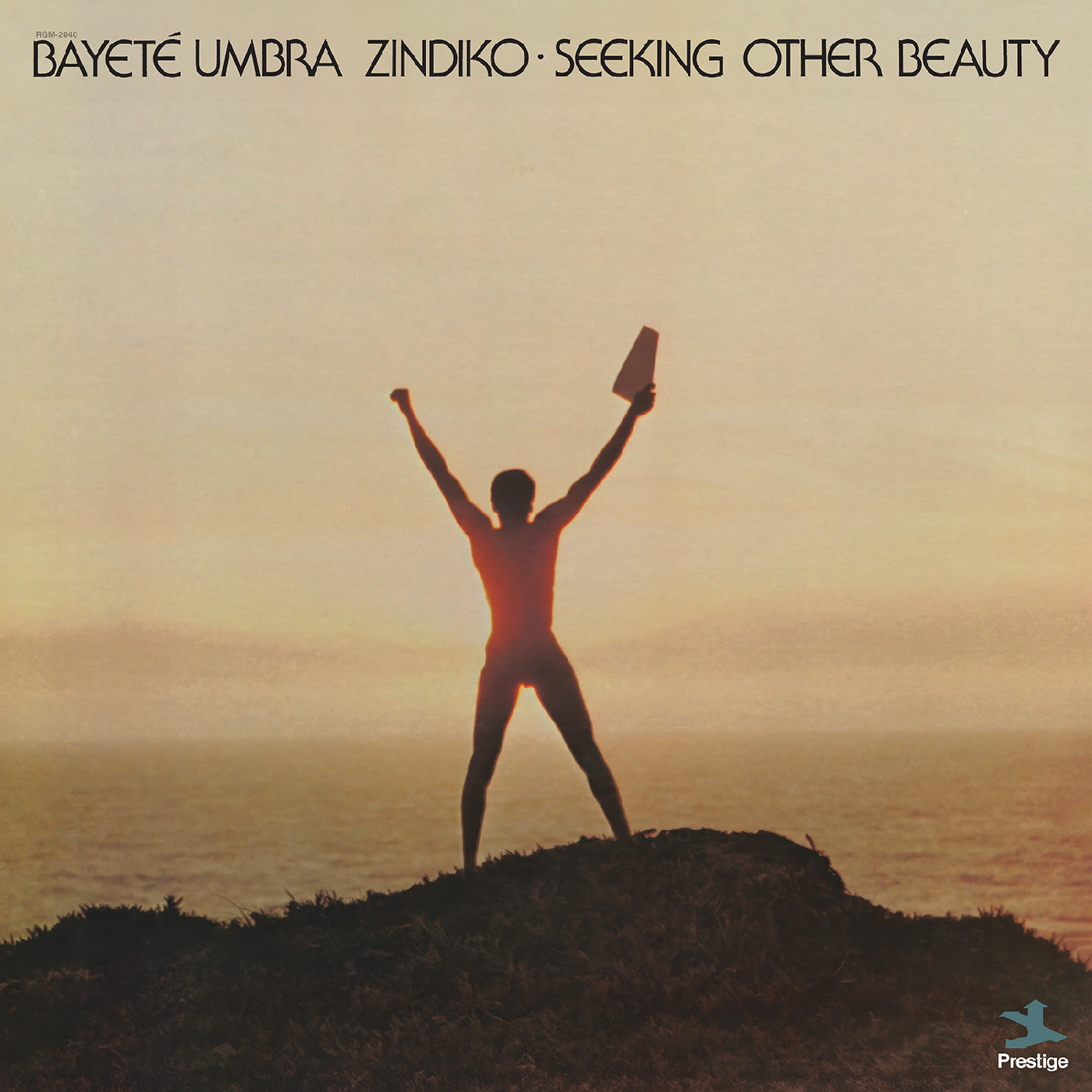 Bayeté Umbra Zindiko Seeking Other Beauty (All-Analog) (Plasma Vinyl)