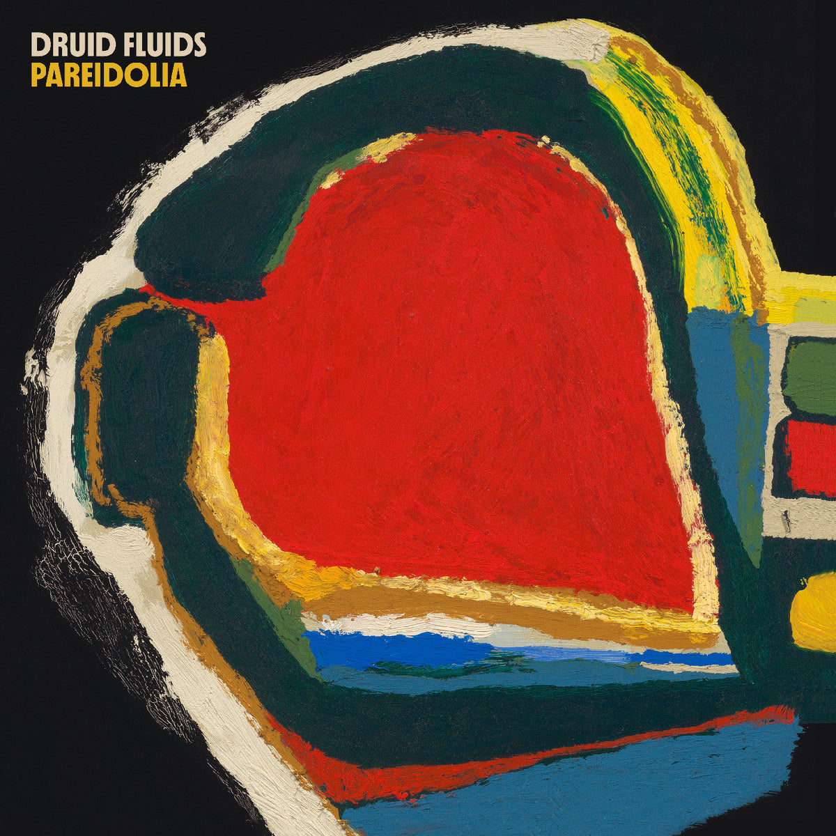 Druid Fluids Pareidolia [CD]