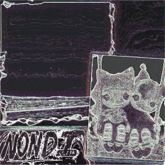 Nondi_ Nondi...