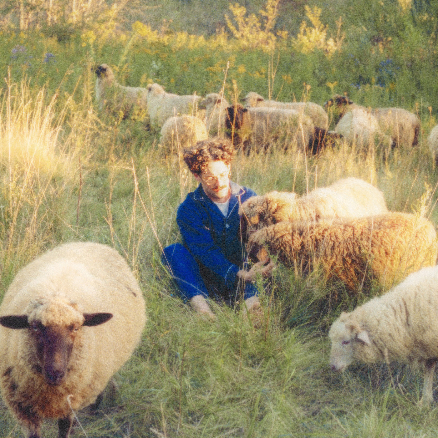 Resavoir Themes For Dreams