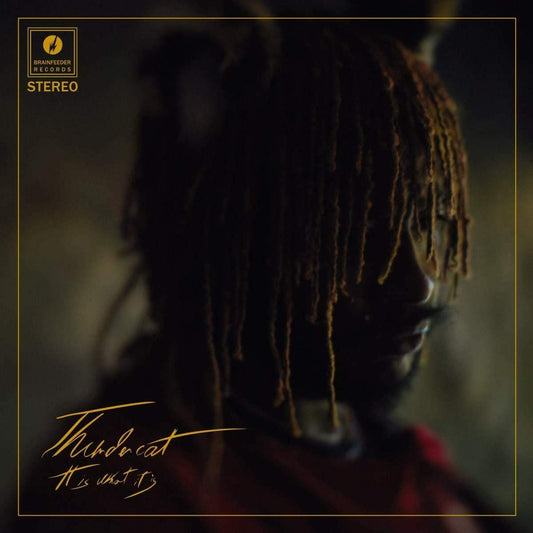 Thundercat It Is What It Is (Clear Vinyl)